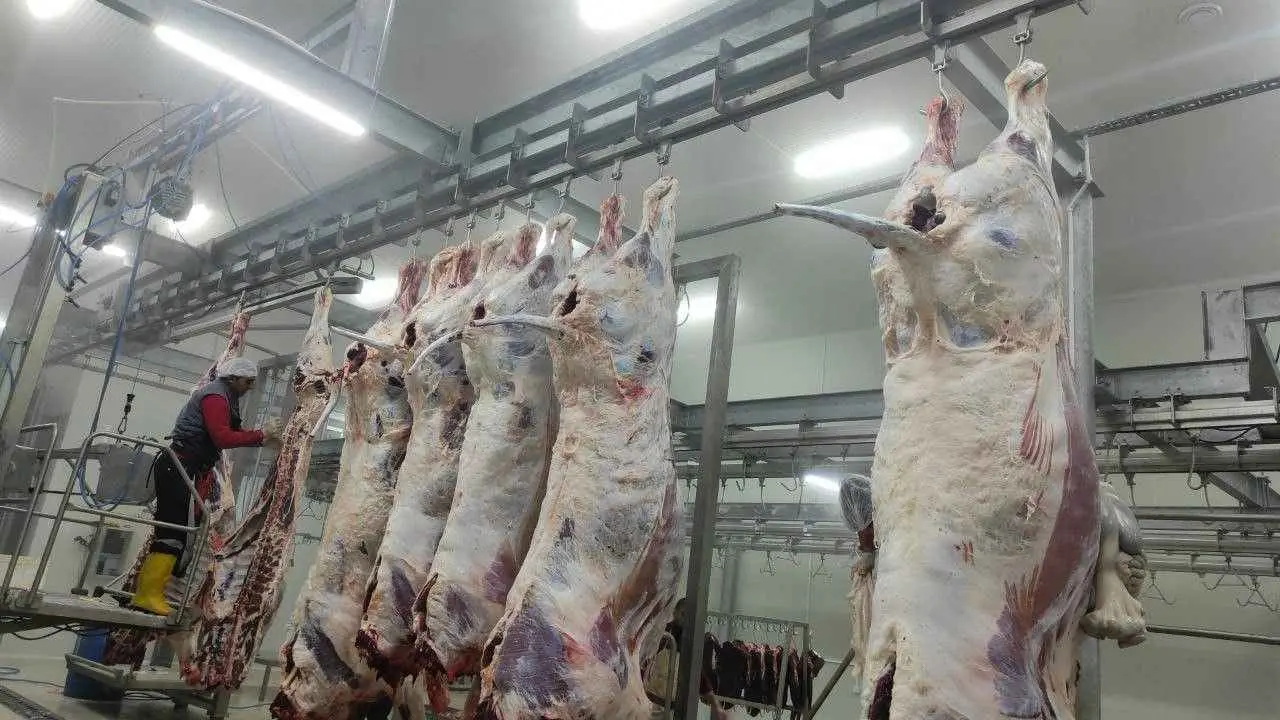 YOZGAT CEKEREK MEAT COMBINE