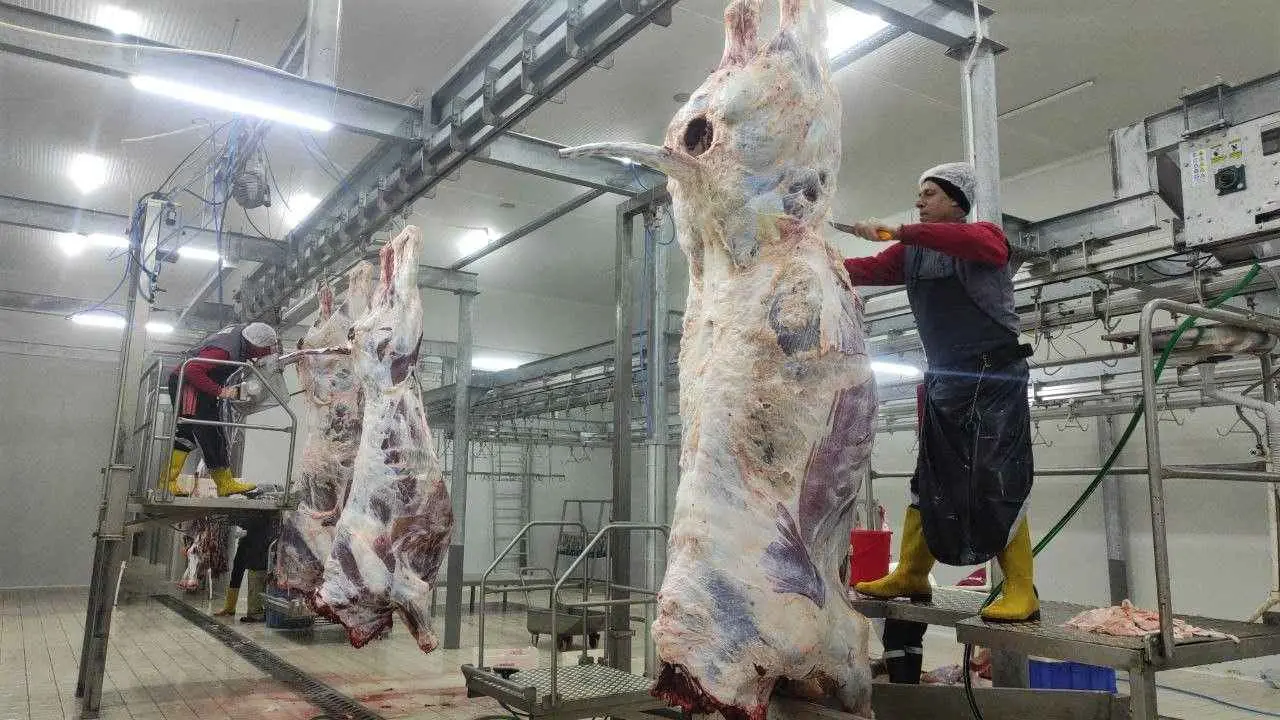 YOZGAT CEKEREK MEAT COMBINE