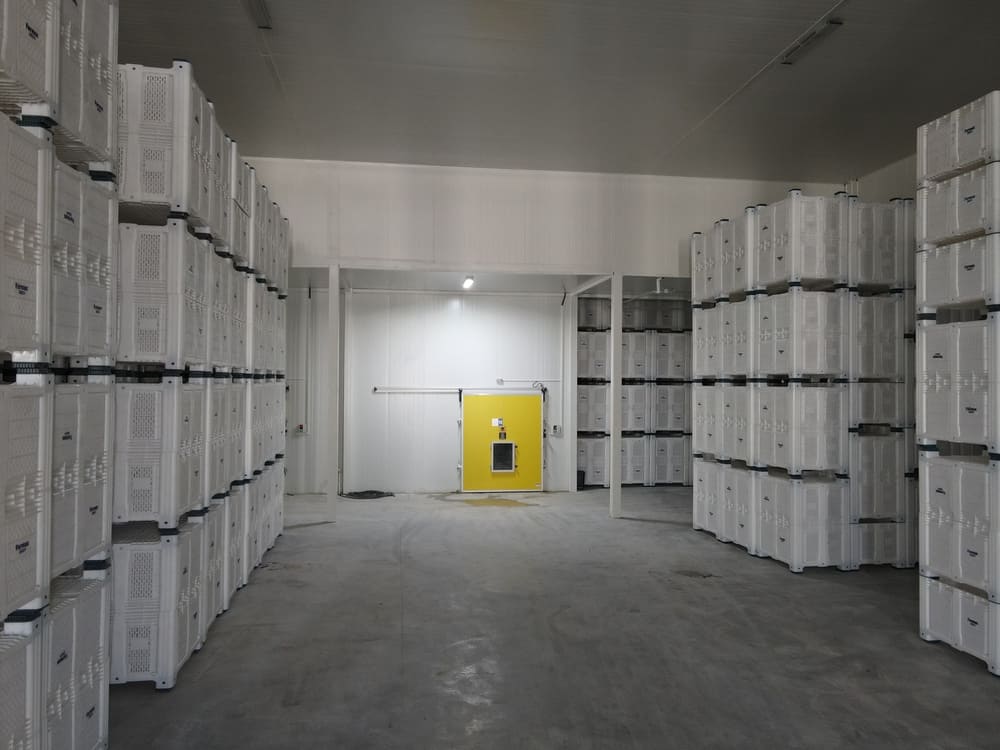 ANKARA GÖLBAŞI  MEYVE İŞLEME TESİSİ