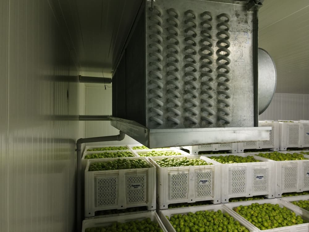 ANKARA GÖLBAŞI  MEYVE İŞLEME TESİSİ