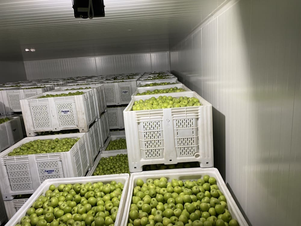 ANKARA GÖLBAŞI  MEYVE İŞLEME TESİSİ